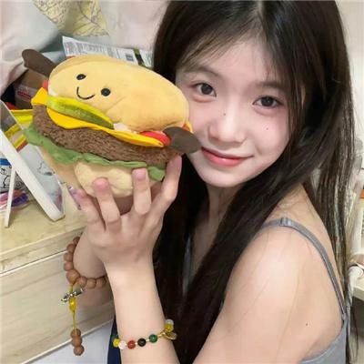 双重间谍 封面